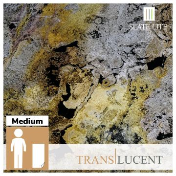 Translucent Falling Leaves Stone Veneer